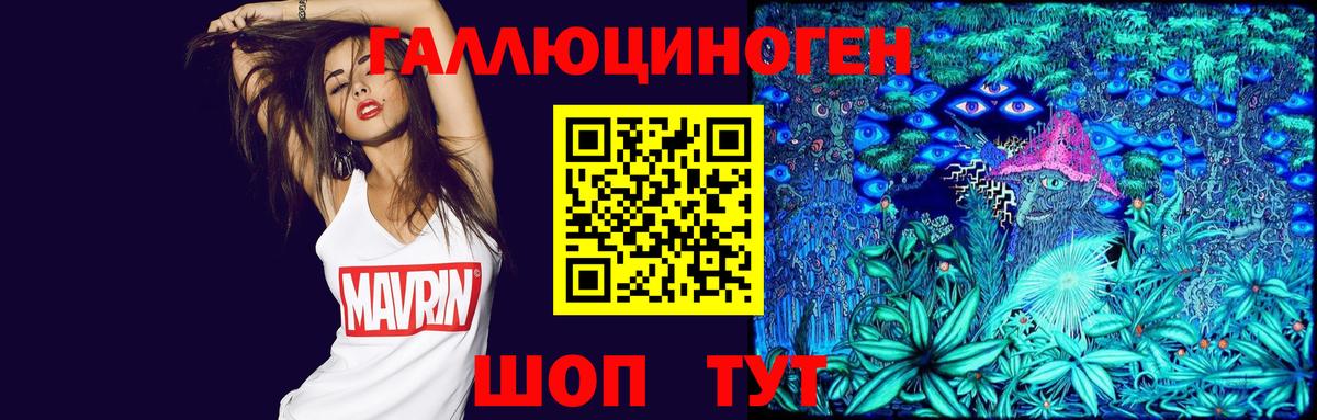 Псилоцибиновые грибы Psilocybe Избербаш