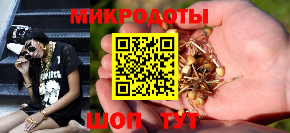 хочу наркоту  Вход с VPN  Псилоцибиновые грибы Cubensis  Избербаш  Псилоцибиновые грибы Cubensis 
